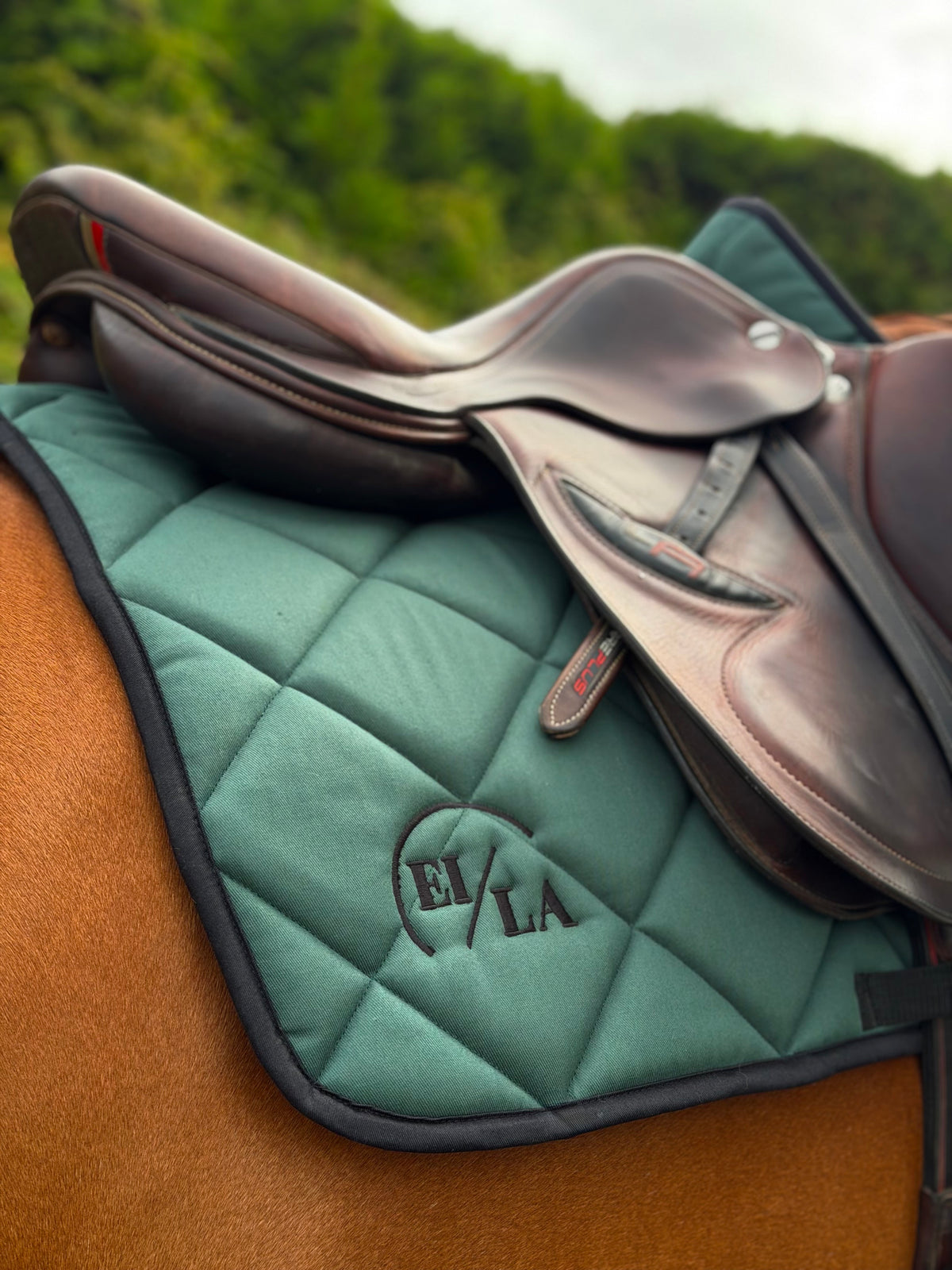 EILA Saddlepad - Forest