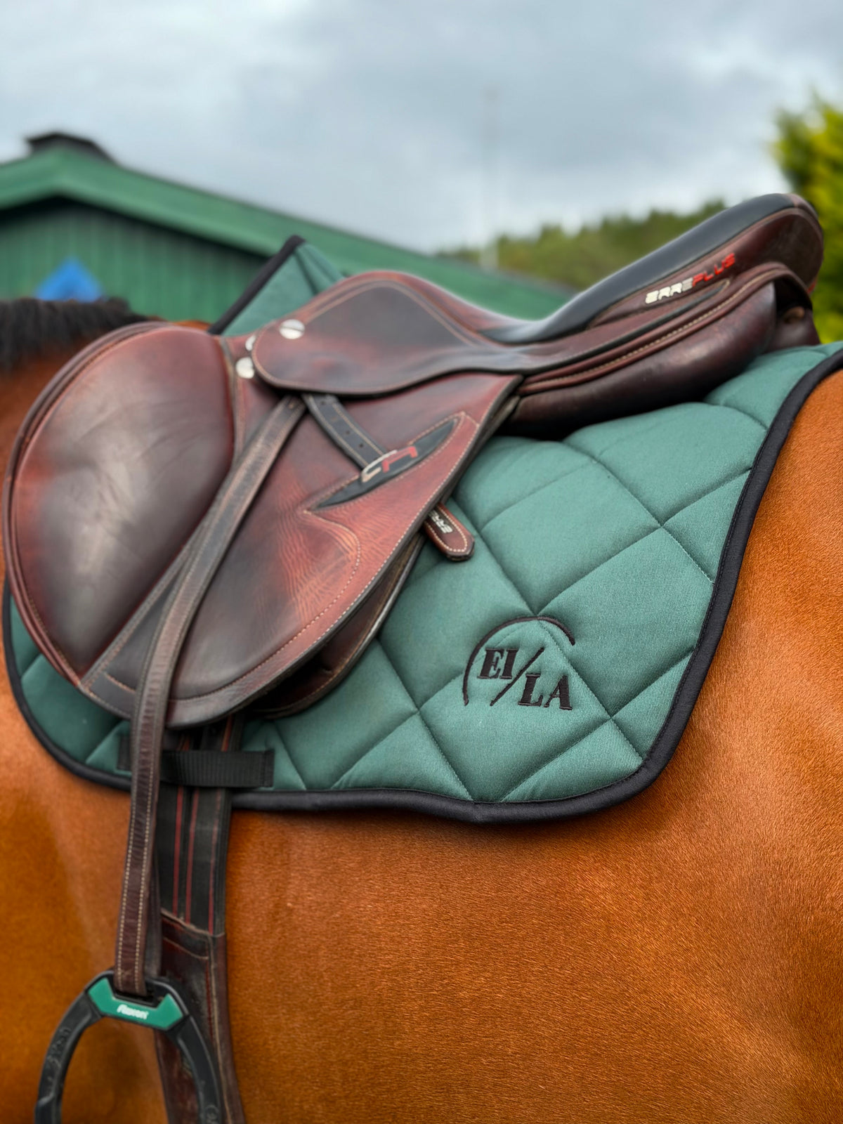 EILA Saddlepad - Forest