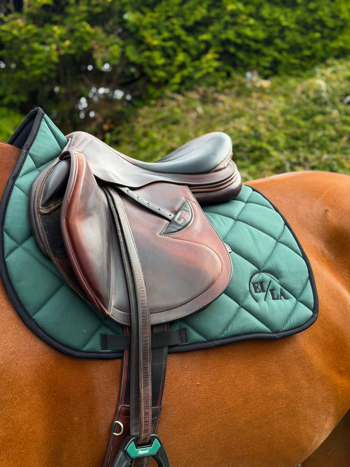 EILA Saddlepad - Forest
